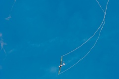 Spectacle de voltige sur planeur PC-11 lors du meeting aérien du centenaire à Amiens