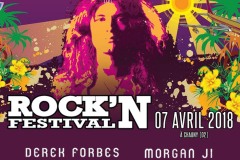 Affiche Rock'N Festival 7